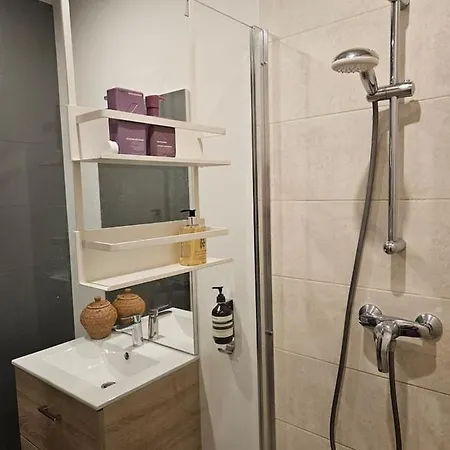 Typical Haussmannien Flat