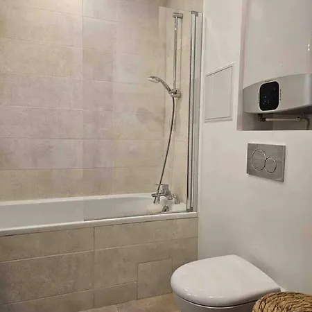 Typical Haussmannien Flat Parijs